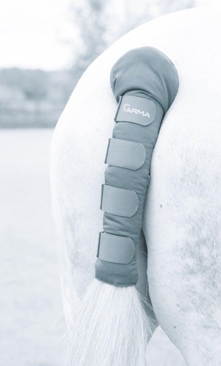 Arma Protege Queue - SHOPHORSE